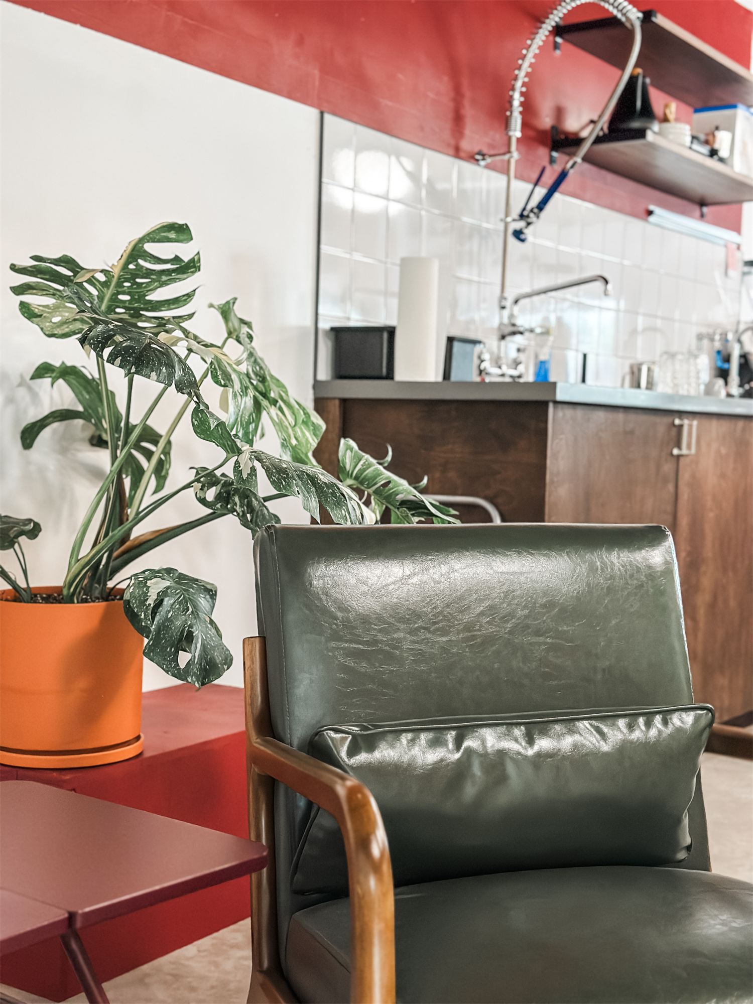 Lounge chair and plants in the customer area of Not Another Film Lab